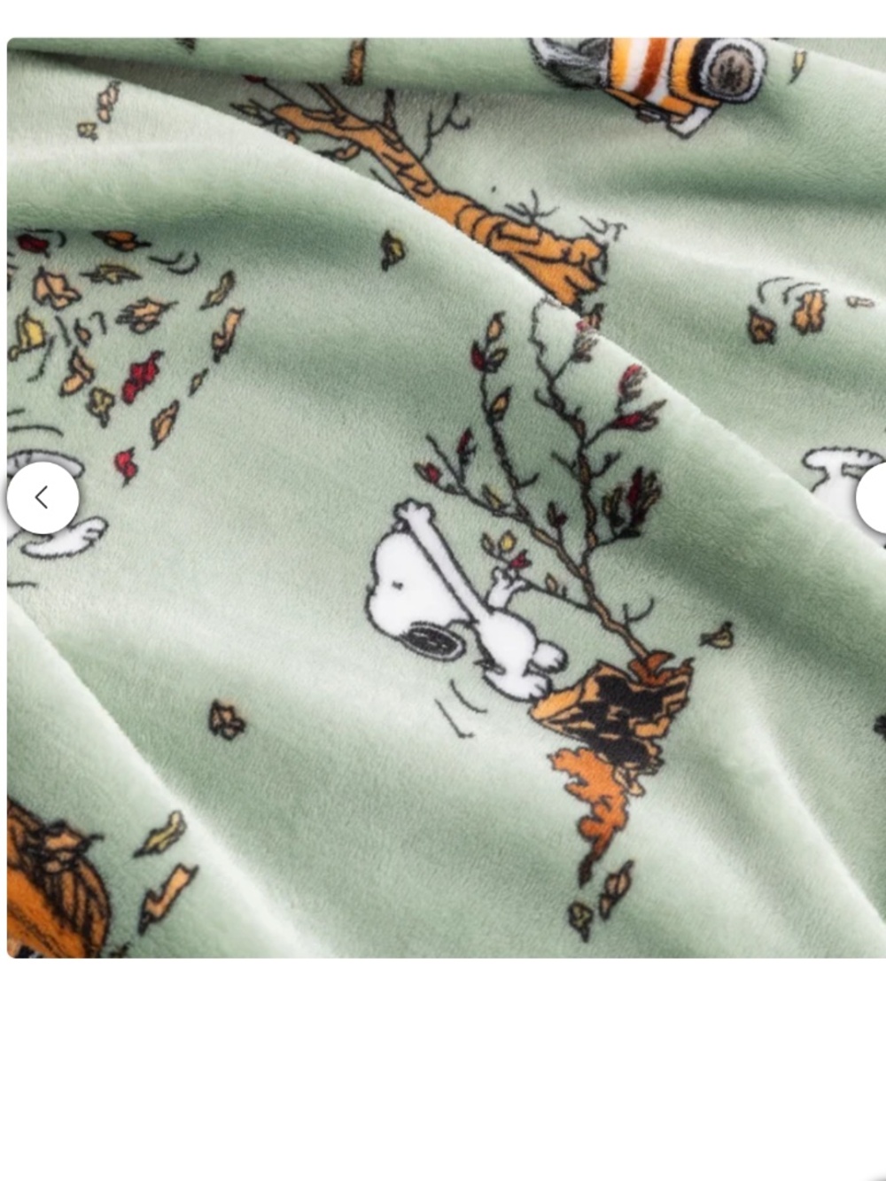 Peanuts Printed VelvetLoft Throw - Picture 3 of 8
